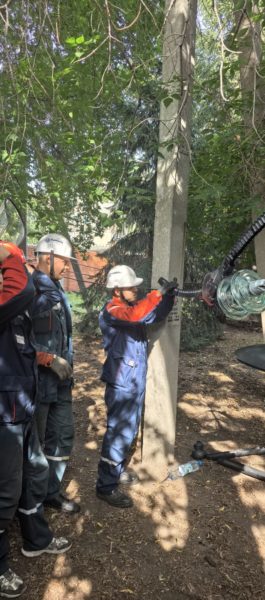 Омский филиал СибКЭУЦ готовит электромонтёров к соревнованиям профессионального мастерства по компетенции «Техническое обслуживание и ремонт распределительных сетей 0,4-20 кВ»